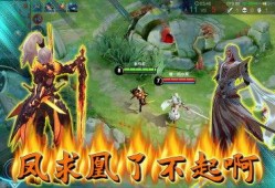 吕布爆料鸟哥视频大全,鸟哥视频大全背后的精彩故事