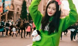 吃瓜娱乐杨幂是谁的徒弟,揭秘娱乐圈新晋小花旦的崛起之路