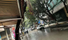 宜宾南溪爆料事件最新,真相揭开，网络舆论漩涡中的社区冲突