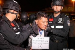 商人爆料缅北案件视频大全,商人爆料视频大全深度解析