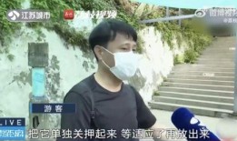 吃瓜挨打的网红是谁,揭秘“网红挨打”事件背后的真相
