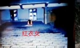 雨神夜间爆料视频播放大全,揭秘娱乐圈幕后故事