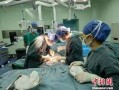 脑死亡在线观看,在线观看带你走进生命终结的边缘