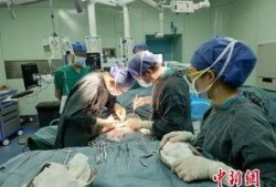 脑死亡在线观看,在线观看带你走进生命终结的边缘