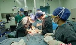 脑死亡在线观看,在线观看带你走进生命终结的边缘