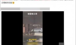 爆料可以只发视频吗,视频揭秘事件真相