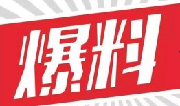 热门爆料打假视频素材,打假视频素材背后的真相大起底