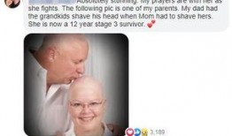 夫妇网红吃瓜图片视频