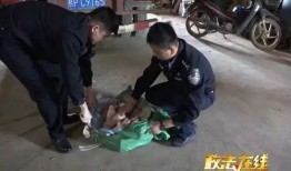 主播爆料囤积仓库视频,揭秘幕后黑幕
