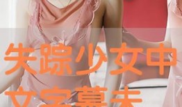 失踪未删减版在线观看,真相与悬念交织的悬疑之旅