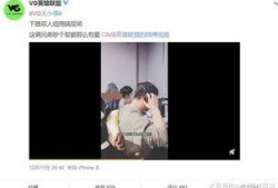 爆料大王王正源视频播放,揭秘王正源视频播放背后的惊人真相