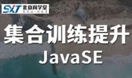 砂金爆料实战视频大全,揭秘淘金高手实战技巧与经验分享