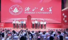 佛山大学爆料新闻视频,揭秘校园热点事件背后的真相