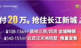 武汉王先生最新爆料新闻,揭秘XX事件背后真相