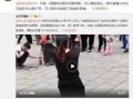 王雁林爆料视频大全集,揭秘背后真相与精彩瞬间