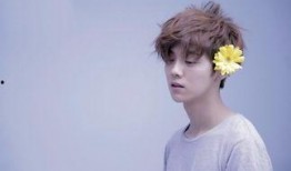 爆料鹿晗韩语视频,展现多语言魅力，粉丝直呼心动