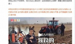 石头镇最新爆料新闻报道,揭秘神秘事件背后的真相