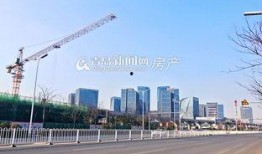 青岛科大爆料最新消息,揭秘校园热点事件背后的真相
