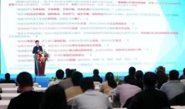 前锋新联动爆料视频大全,精彩内容抢先看