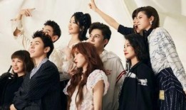 辛巴爆料主播视频大全下载,主播视频大全下载背后的真相与精彩瞬间