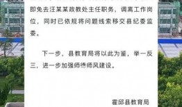 霍邱爆料视频,真相令人震惊！