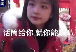 天涯爆料王冰冰视频合集,天涯爆料视频合集深度解析
