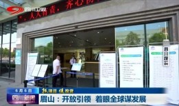 四川新闻频道爆料,揭秘某重大事件背后真相