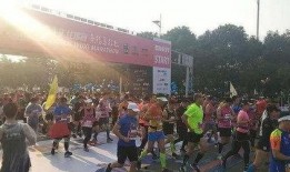 大荔陈村新闻最新爆料,揭秘陈村发展新动向