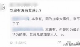 最新爆料出炉的歌曲大全,最新爆料出炉，华语乐坛新势力崛起