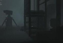 雨神夜间爆料视频播放大全,揭秘娱乐圈幕后故事