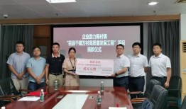 大荔陈村新闻最新爆料,揭秘陈村发展新动向