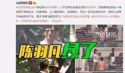 为什么爆料陈宝荣呢视频,背后真相与争议
