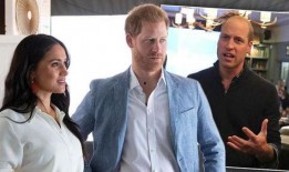 爆料英国王室视频大全集,独家视频大全集深度解析