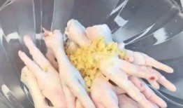 无缝鸡爪爆料视频,视频爆料揭示惊人真相