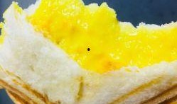 吐司奶糕爆料视频教程全集,视频全集精华解析