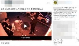 真实爆料事件视频,视频揭露惊人事件内幕