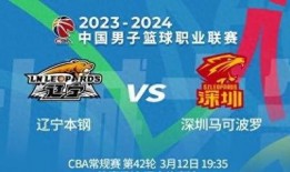 辽宁卫视体育频道直播在线观看