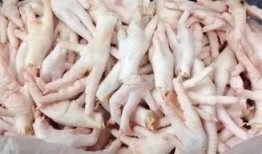 无缝鸡爪爆料视频,视频爆料揭示惊人真相