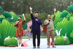 吉林网红爆料事件视频最新,揭秘背后真相与争议